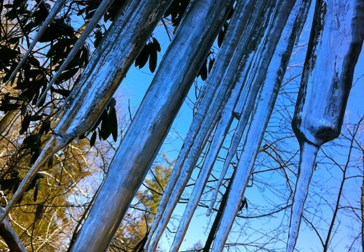 January on the Sheltowee Trace, Red River Gorge